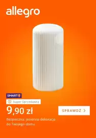 Allegro gazetka tydzień 34 Strona 4: Bezpieczna jesienna dekoracja do domu €9,90