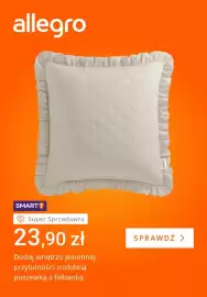 Allegro gazetka tydzień 34 Strona 5: Ozdobna poszewka z falbanką Room99 €23,90