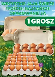 Dino gazetka Strona 7