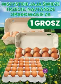 Dino gazetka Strona 7