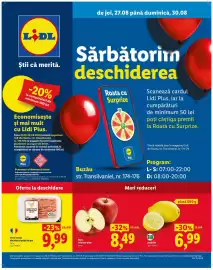 Catalog Lidl Pagină 1