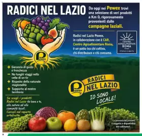 Volantino Pewex Pagina 8