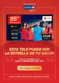 Folleto Carrefour Página 17