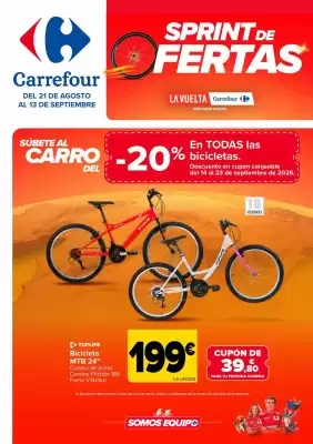 Folleto Carrefour