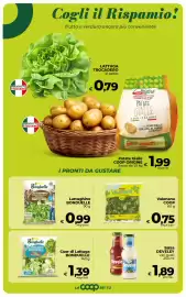 Volantino Coop Radenza Pagina 21: Valeriana COOP €0,75, Cuor di Lattuga BONDUELLE €1,39