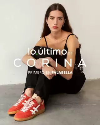 Falabella (válido hasta 27-08)