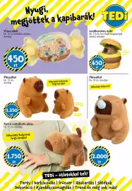 Tedi katalógus Oldal 18