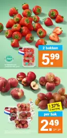 Albert Heijn folder week 35 Pagina 13