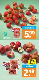 Albert Heijn folder week 35 Pagina 13