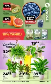 Netto gazetka tydzień 35 Strona 11: Grejpfrut czerwony luz €4,99, Borówka amerykańska €12,99