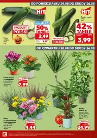 Kaufland gazetka Strona 3: Cukinia polska luzem €2,49, Fiołek alpejski €7,99