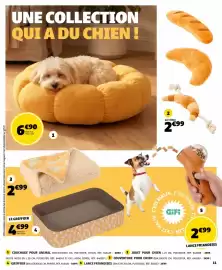 GiFi folder Pagina 11