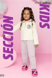Catálogo Sokso Página 2