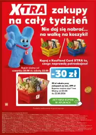 Kaufland gazetka Strona 24