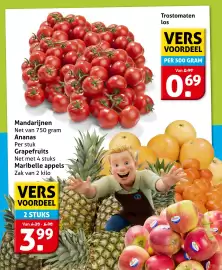 Hoogvliet folder week 35 Pagina 17