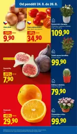 Lidl leták Strana 15: Cibule žlutá €9,90, ČERSTVÉ FÍKY €7,90