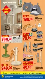 Lidl leták Strana 44: Zoofari Škrabadlo pro kočky €799,90