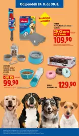 Lidl leták Strana 45: VILEDA Ručník/Kartáč pro domácí mazlíčky €109,90