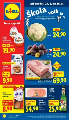 Lidl (platné do 30-08)