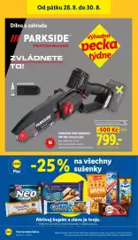 Lidl leták Strana 48: PARKSIDE PERFORMANCE 20V Aku řetězová pila €799,00