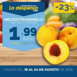 Folleto Cash Ecofamilia Página 3