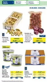 METRO Prospekt woche 35 Seite 11