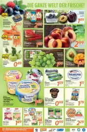Inkoop Prospekt woche 35 Seite 2