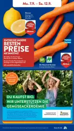Aldi Süd Prospekt woche 37 Seite 4