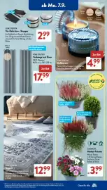 Aldi Süd Prospekt woche 37 Seite 5
