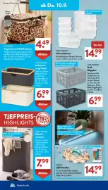 Aldi Süd Prospekt woche 37 Seite 6