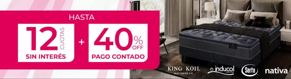 Catálogo Petenatti Hogar Página 1