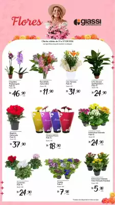 Encarte Giassi Supermercados