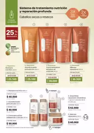Catálogo Natura Página 35: Natura - repuesto acondicionador polinutrición 300 ml €25.100,00