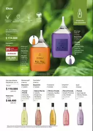 Catálogo Natura Página 81