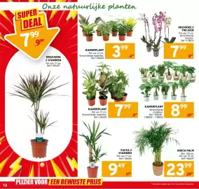 Trafic folder Pagina 12: Kamerplant €8,99, Kamerplant €7,99