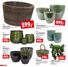 Jem & fix kundeavis Side 4: GAIL KRUKKESETT €449,00, KRUKKESETT €499,00