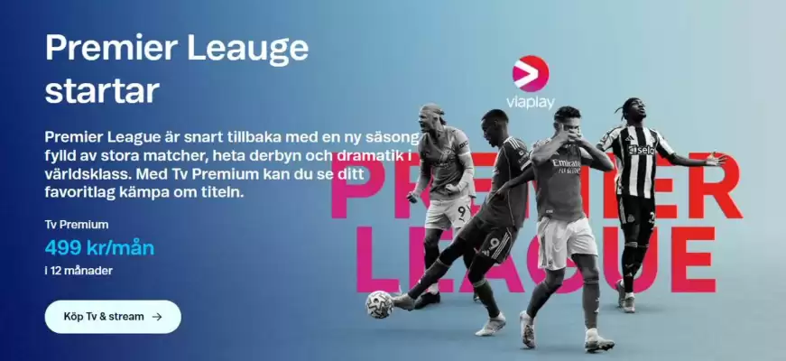 Telenor (giltig till och med 4-09)
