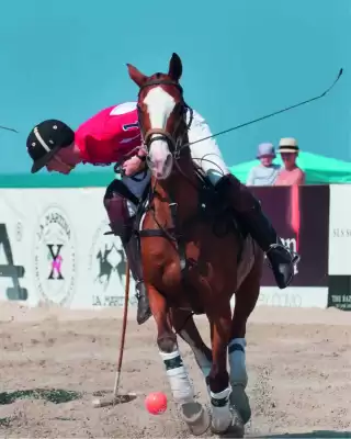 La Martina (válido hasta 22-08)