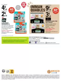 Catalogue E.Leclerc Brico page 4: Tous Mes Amis Litière Pureté Agglomérante €2,52