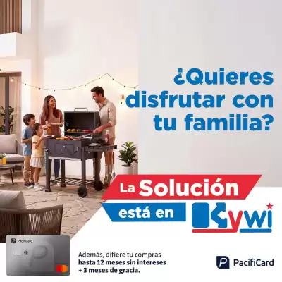 Kywi (válido hasta 25-08)