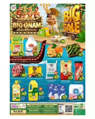 Bigmart leaflet (valid until 26-08)