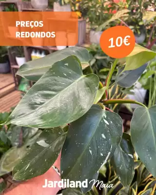Catálogo Jardiland (válido até 27-08)