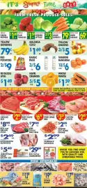 Compare Foods weekly ad Page 4: Tangerine mandarina €6,00, Yellow Onions €5,00