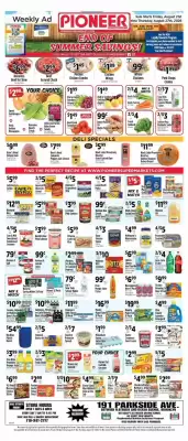 Pioneer (valid until 27-08)