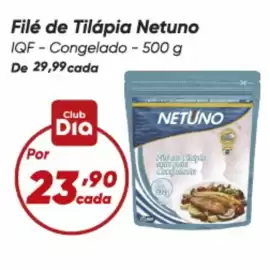 Tabloide Dia Página 33: Netuno - file de tilapia €23,90