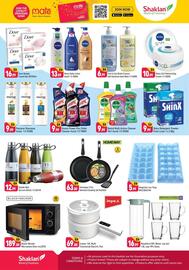 Shaklan leaflet Page 4