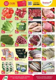 Shaklan leaflet Page 3