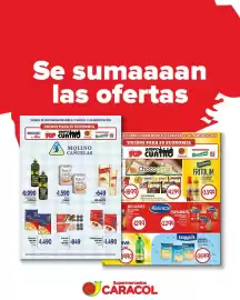 Catálogo Supermercados Caracol Página 1