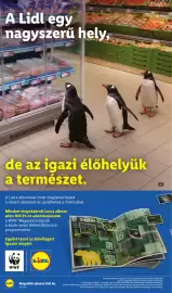 Lidl akciós újság hét 35 Oldal 36