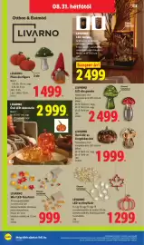 Lidl akciós újság hét 35 Oldal 58: Livarno LED-lámpás €2.499,00, LIVARNO LED-díszgomba €2.499,00